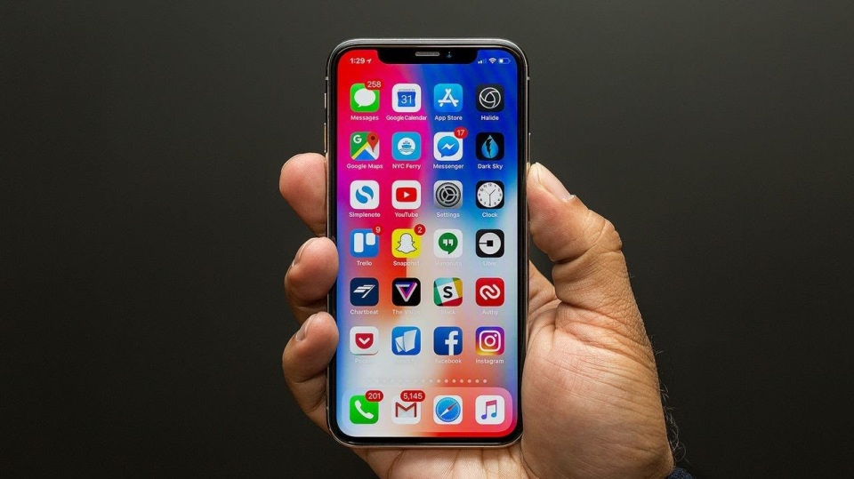 iPhone X